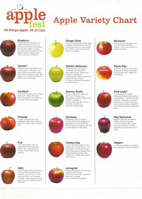 Types Of Apples Chart