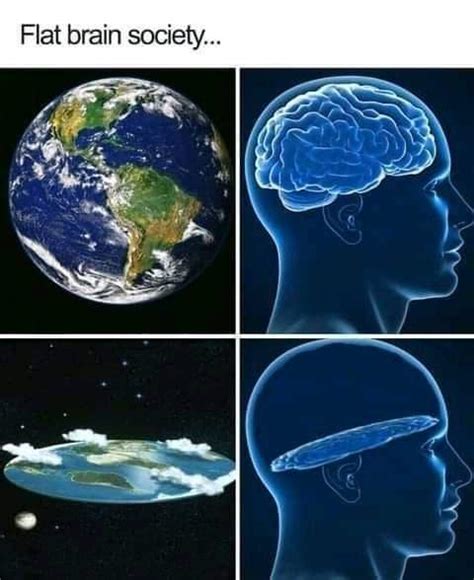 Donut Brain Is Next Rmemes