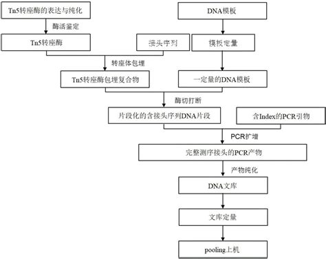 一种基因测序文库的构建方法与流程