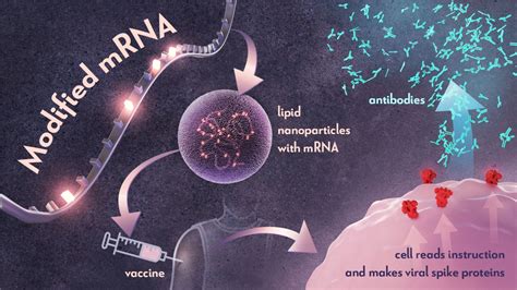 Vaccine History NIH Director S Blog