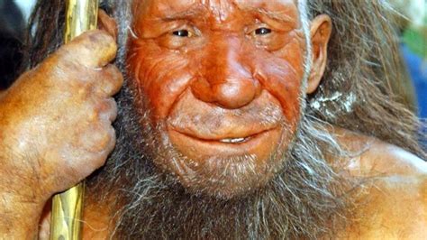 Gene Von Neandertalern Haben Es In Sich