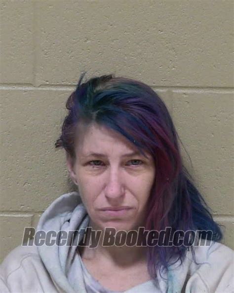 Recent Booking Mugshot For Valene Alexis Miller In Delta County Michigan