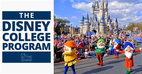 The Disney College Program The Quad Magazine