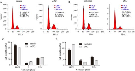 Mir B P Induced Cell Cycle Arrest Of Preadipocytes A B Flow