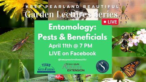 2024 April Garden Lecture • Keep Pearland Beautiful