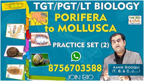 KVS NVS GIC GGIC TGT PGT LT BIOLOGY PORIFERA TO MOLLUSCA PRACTICE 2