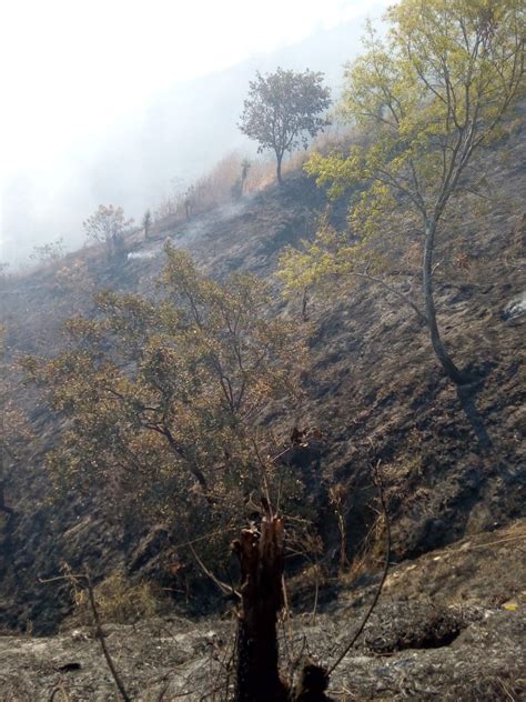 Conred On Twitter Huehuetenango El Incendio Forestal En Sector