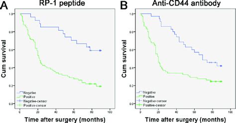 Kaplanmeier Curves For Survival Of Gastric Adenocarcinoma Patients Download Scientific