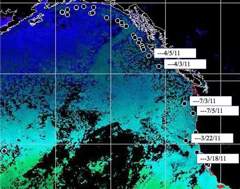 Analysis of Migration - Migration of the Northern Elephant Seal