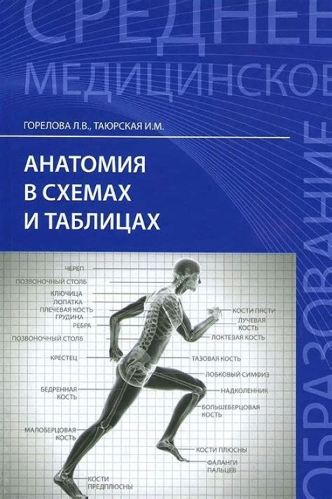 Анатомия в схемах и таблицах