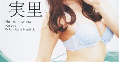 Ani Time 再販 PLAMAX Naked Angel 1 20 河南實里