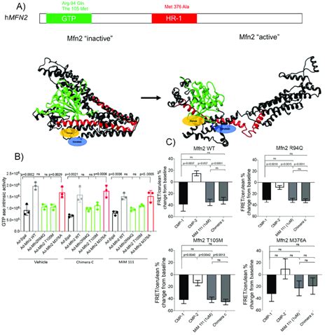 M A Is A Conformational Mutant But Maintains Its Gtpase Ability A