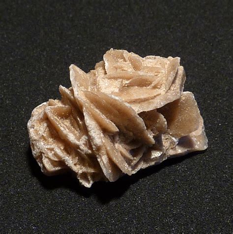 Роза пустыни - кристаллическая форма минерала гипс: mineralog — LiveJournal