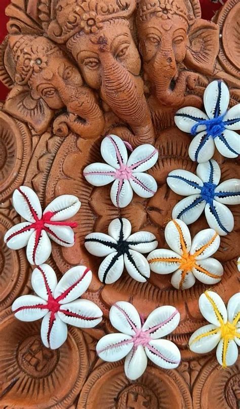 White Kori Shell Flowers At Best Price In New Delhi Id 2853996982912