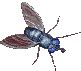 Flies animated GIFs