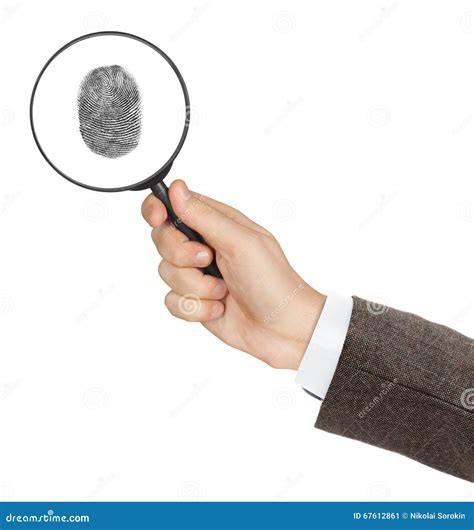 Magnifying Glass In Hand Stock Image Image Of Idea Magnification