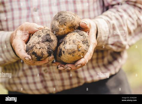 Elderly Hands Dirty Hi Res Stock Photography And Images Alamy