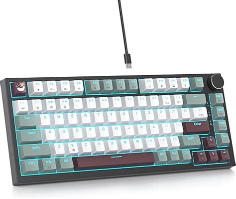 Amazon Mist Wired Gaming Keyboard Hot Swappable Gasket Mount Red Switch Rgb