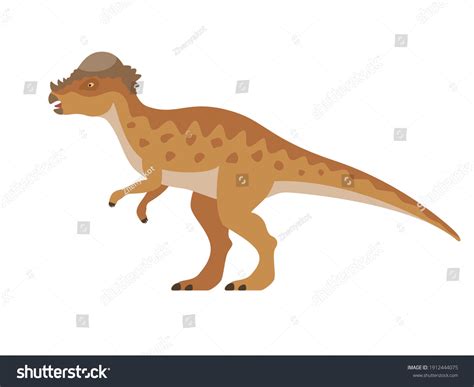 Pachycephalosaurus Dinosaur Vector Illustration Prehistoric Dinosaur