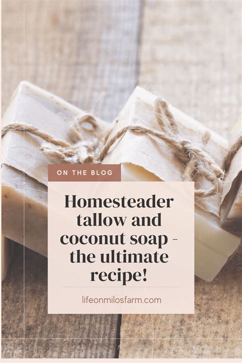 Homesteader Tallow And Coconut Soap The Ultimate Beginner Recipe For A