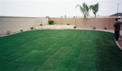 Natural Grass/Sod Installation – Drager Land Management