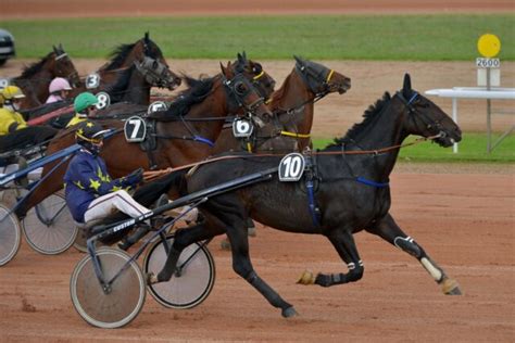 En Images Dans Les Coulisses D Une R Union L Hippodrome De Cherbourg