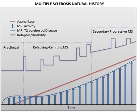 Natural History Of Ms Adapted From Neuroscientist 1999 5 48 57 Download Scientific Diagram