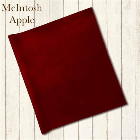 McIntosh Apple Hand Dyed Jeromethomasdesigns