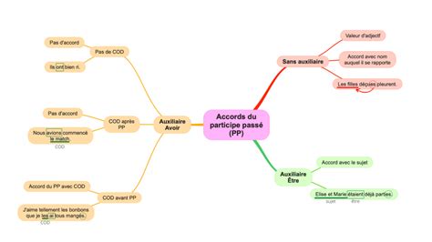 Carte Mentale Des Accords Du Participe Passé En Français Apprendre Réviser Mémoriser