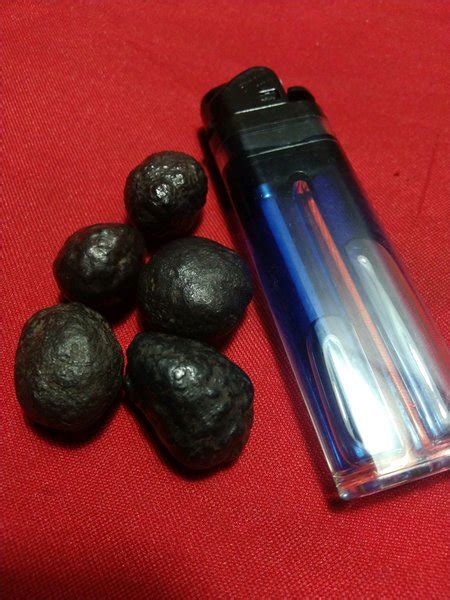 Jual Munta Besi Asal Sulawesi Ready Fosil Galeh Kelor Mani Gajah Badar