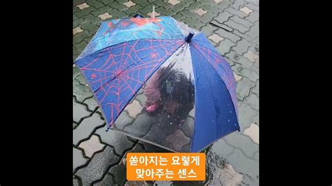 비오는날 ☔️비 마사지~♡♡☔️ Shortscute Asmr 비 빗소리 산책 우산 늦둥이동생 다빈이네 Youtube