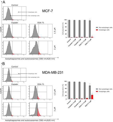 Induction Of Autophagy In Mcf 7 A And Mda Mb 231 B Breast Cancer