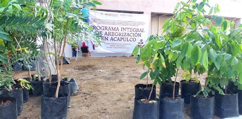 Arranca Gobierno Municipal Programa Integral De Arborizaci N En