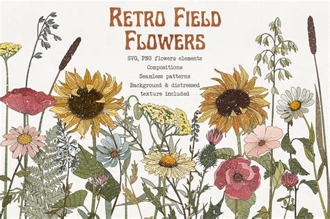 Retro Field Flowers And Sunflowers A Decorative Illustration By Marie Dricot