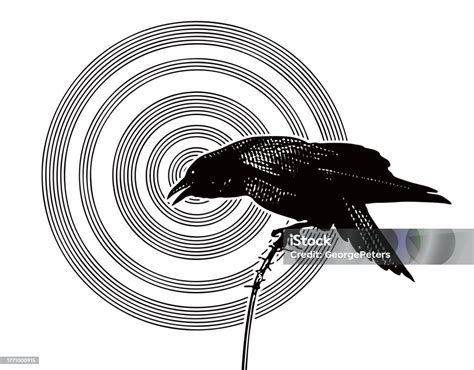 Raven Cawing Stock Illustration - Download Image Now - Crow - Bird ...