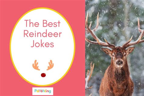 125 Reindeer Jokes That ARE Sleigh Tastic