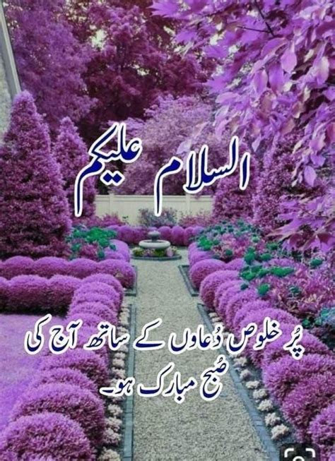 Pin On Assalamu Alaikum Good Day Messages Good Morning Nature Dua