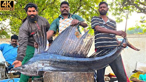 Kasimedu Speed Selvam Interesting Kg Kola Fish Cutting In