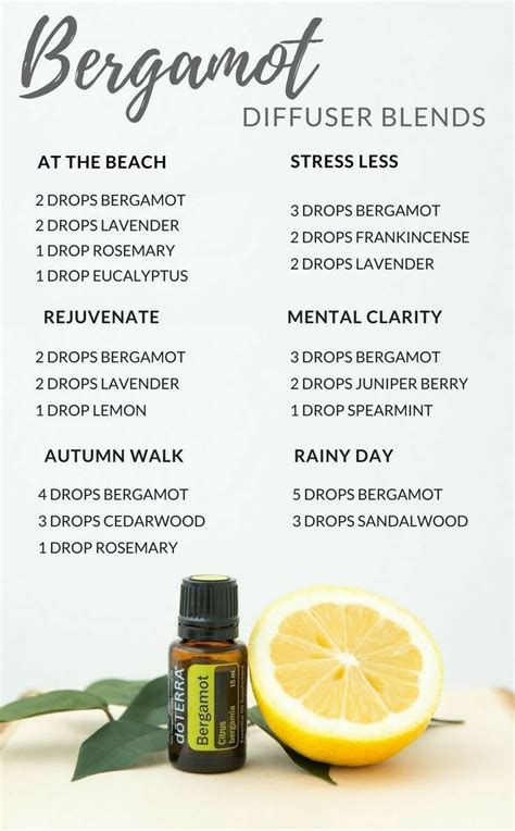 Essential Oils Guide Bergamot Essential Oil Lavender Essential Oil