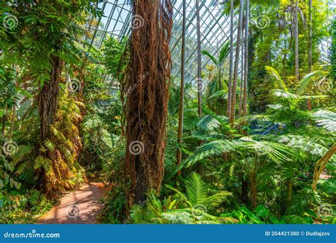 Bicentennial Conservatory at Botanic Garden in Adelaide, Australia Stock Photo - Image of green ...