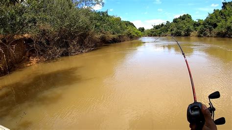 Nunca Acreditei Que Pegaria Tantos Peixes Grandes Sem Ceva Pescaria De