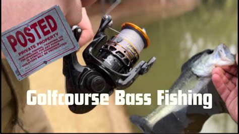 Sneaking Into Golf Courses For Large Mouth Bass Youtube