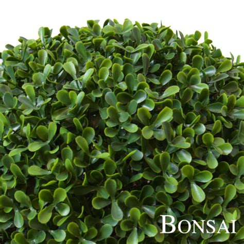 Umjetni Buxus Cm Im Ir Kugla Sa Uv Za Titom Bonsai Dekor