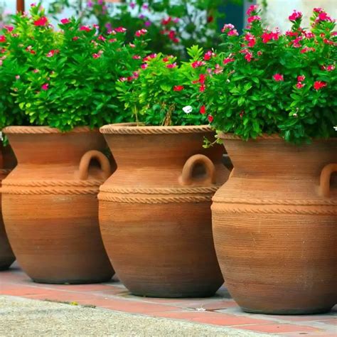 Conoce Nuestras 【ofertas En Maceteros Grandes De Barro】 ¿a Qué Esperas