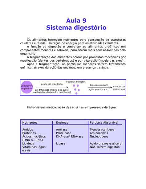 Aula Sistema Digestrio Aula Sistema Digest Rio Os Alimentos