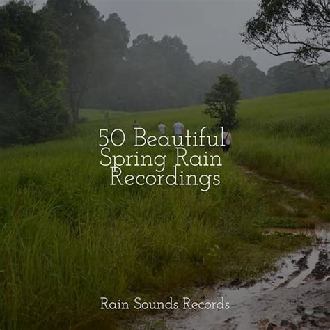 50 Beautiful Spring Rain Recordings By Cascada De Lluvia On Amazon