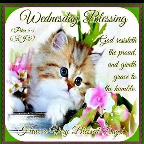 Wednesday Blessings With Bible Verse Pictures Photos And Images For