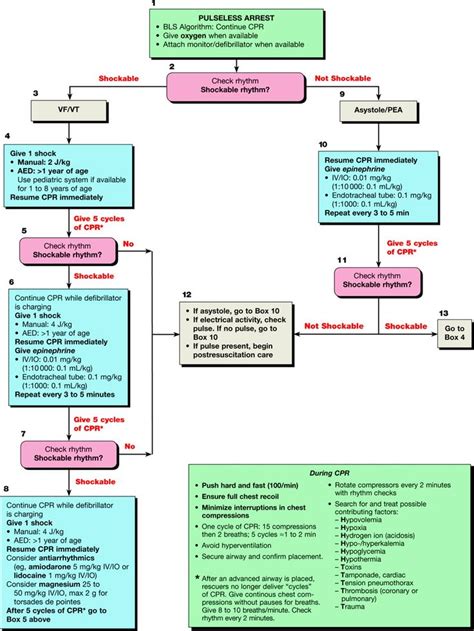 Pals Algorithm Flashcards Pediatric Nursing Nurse