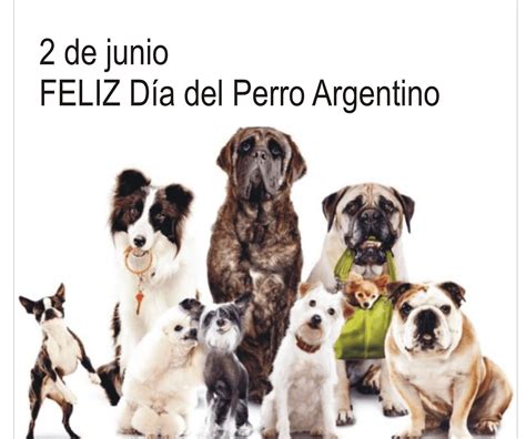 FM SECLA 106 1 2 de junio Día Nacional del Perro Un Cariño Grande