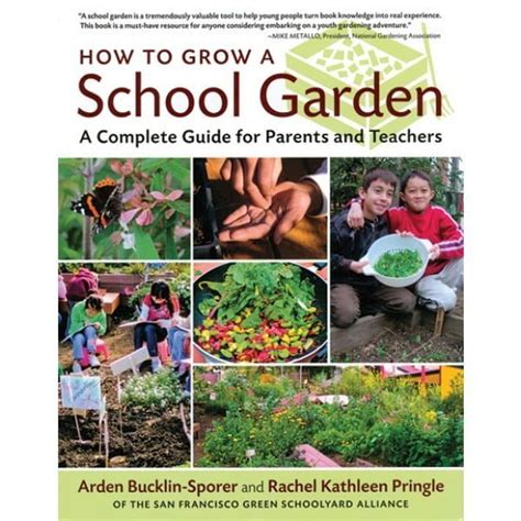 How To Grow A School Garden A Complete Guide For Parents And Teachers